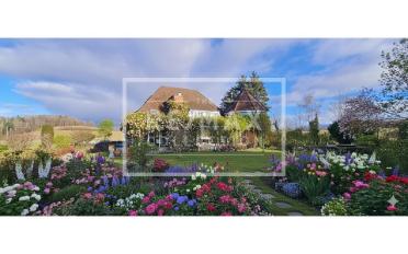 Single house 8 rooms - image - 1