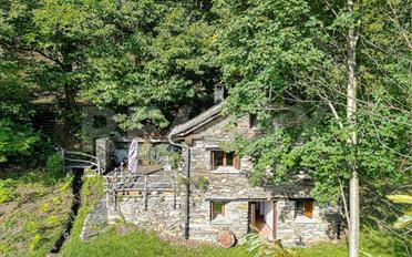 Single house 5 rooms - image - 1