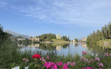 Wohnung 4.5 Zimmer - image - 2