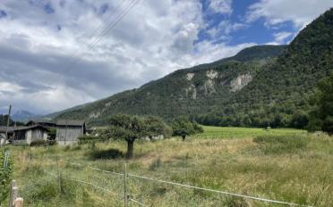 Wohnung 3.5 Zimmer - image - 5