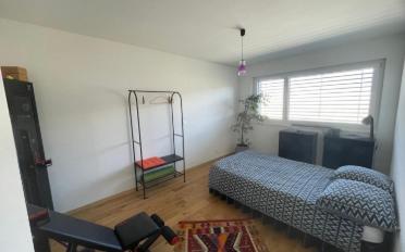 Villa 5.5 Zimmer - image - 5