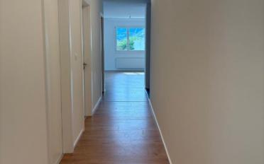 Wohnung 4.5 Zimmer - image - 4