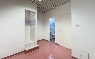 Shop - image - 7