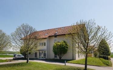 Wohnung 3.5 Zimmer - image - 3
