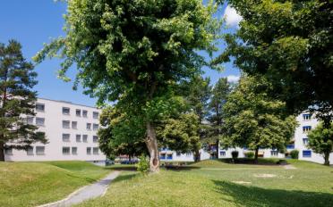 Place ouverte - image - 4