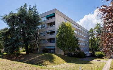 Wohnung 1.5 Zimmer - image - 2