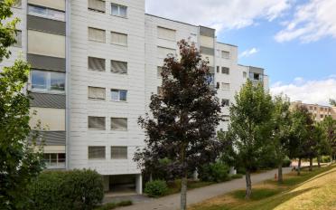 Wohnung 2 Zimmer - image - 3