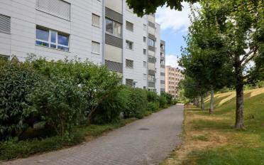 Wohnung 2 Zimmer - image - 4