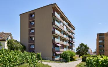 Wohnung ein Zimmer - image - 1