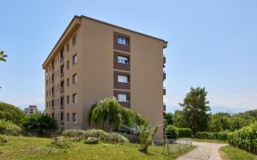 Wohnung ein Zimmer - image - 2