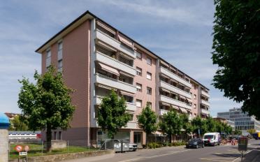Wohnung 2.5 Zimmer - image - 1