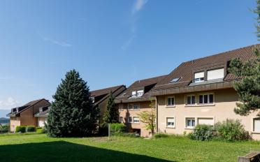 Wohnung 3.5 Zimmer - image - 1