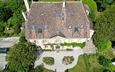Single house 15 rooms - image - 1