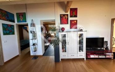 Wohnung 2.5 Zimmer - image - 6
