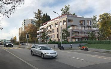 Wohnung 2.5 Zimmer - image - 1