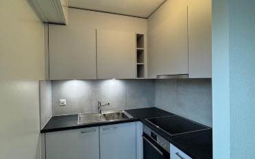 Apartment 1 room - image - 5