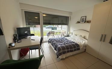 Studio 1 room - image - 1