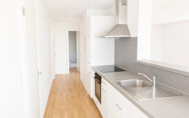 Loft 1.5 Zimmer - image - 3