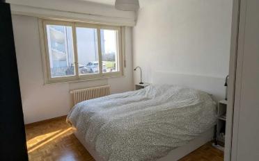 Wohnung 2 Zimmer - image - 10