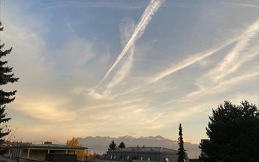 Wohnung 3.5 Zimmer - image - 2