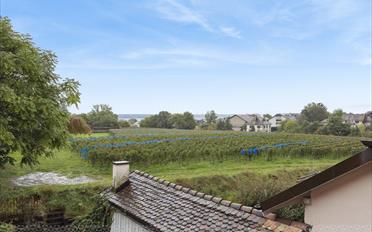 Wohnung 4.5 Zimmer - image - 1