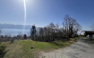 Wohnung 4 Zimmer - image - 1