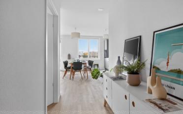 Wohnung 4.5 Zimmer - image - 5