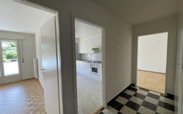Wohnung 2.5 Zimmer - image - 4