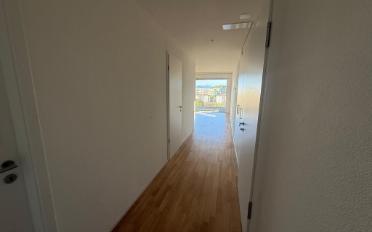 Wohnung 3.5 Zimmer - image - 5