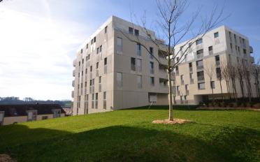 Wohnung 3.5 Zimmer - image - 12