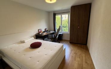 Wohnung 3.5 Zimmer - image - 3