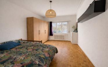Wohnung 2.5 Zimmer - image - 4