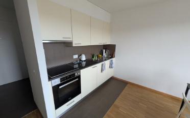 Apartment 1 room - image - 4