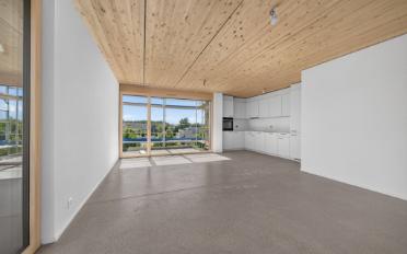 Attic flat 3.5 rooms - image - 4