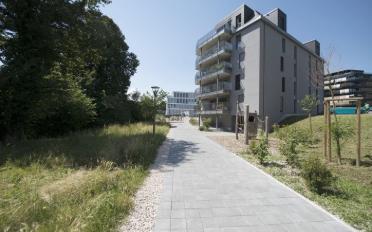 Apartment 3.5 rooms - image - 3
