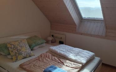 Apartment 1 room - image - 4