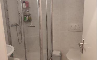 Apartment 1 room - image - 5