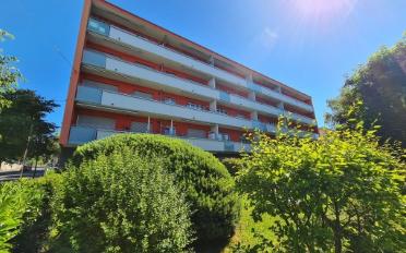 Appartement 1 pièce - image - 1