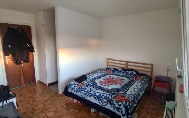 Wohnung ein Zimmer - image - 3