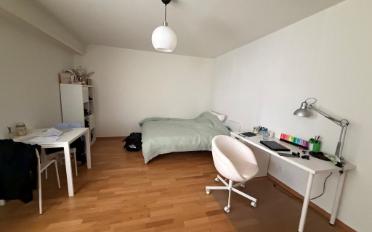 Appartement 1 pièce - image - 3