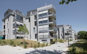 Wohnung ein Zimmer - image - 1