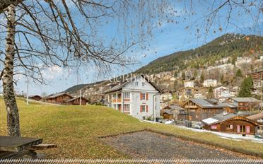 Single house 20 rooms - image - 11