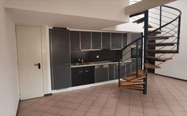 Appartement 5.5 pièces - image - 3
