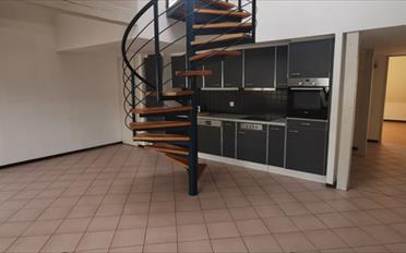 Appartement 5.5 pièces - image - 4