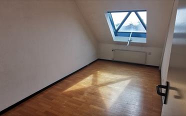 Appartement 5.5 pièces - image - 5