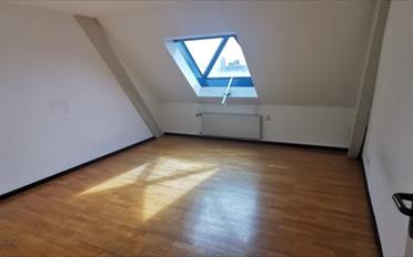 Appartement 5.5 pièces - image - 6