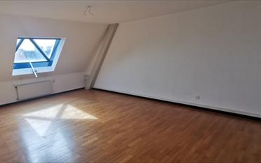 Appartement 5.5 pièces - image - 7