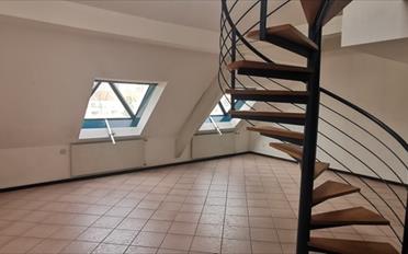 Appartement 5.5 pièces - image - 9