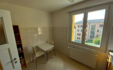 Appartement 1.5 pièces - image - 7