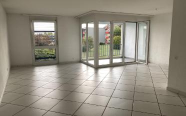 Wohnung 3.5 Zimmer - image - 4
